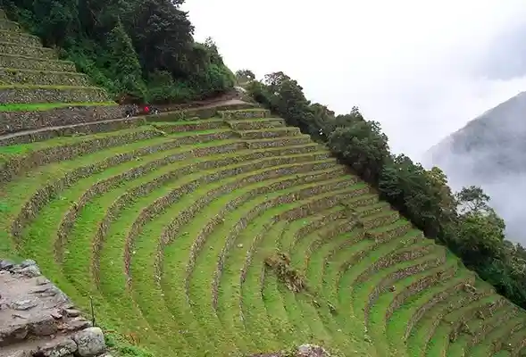 Wiñay Wayna: A Hidden Gem of the Inca Trail