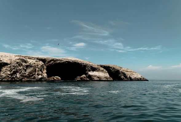 Paracas National Reserve Tours 2025 Discover Peru’s Coastal Gem