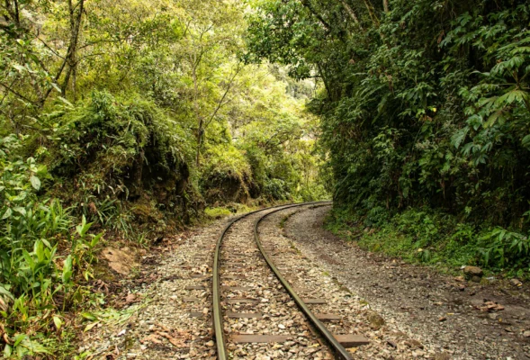 Luxury Train Journeys in Peru 2025 Travel Through Stunning Landscapes in Style