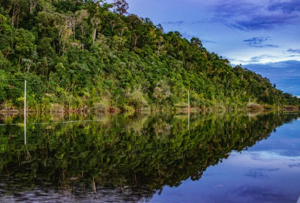 Jungle Lodges in Peru 2025 Stay in the Heart of the Amazon Rainforest
