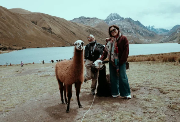 Llama Trekking Experiences in Peru 2025 Hike the Andes with an Iconic Companion