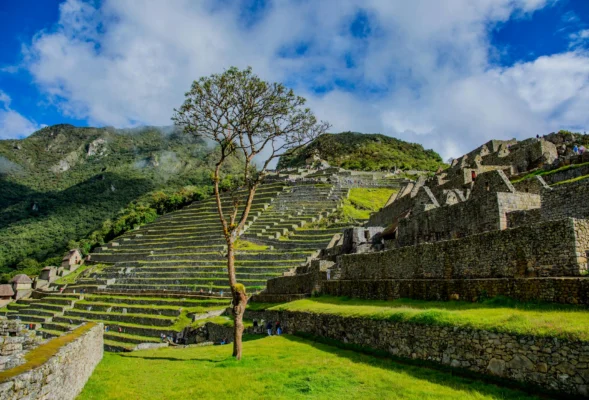 Machu Picchu Private Guides 2025 Explore the Iconic Inca Citadel with Expert Insights
