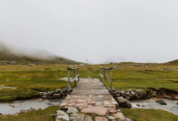 Nature Tours in Peru 2025 Explore the Wild Beauty of Peru’s Landscapes