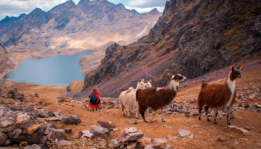 Lares Trek 4 Days / 3 Nights