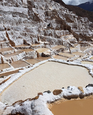 Homestay in Ccaccacollo + Sacred Valley + Machu Picchu 3 Days / 2 Nights