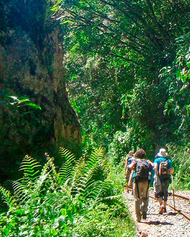 Inca Jungle Trek to Machu Picchu 4 Days / 3 Nights