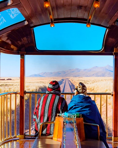 Machu Picchu by Vistadome Train Tour