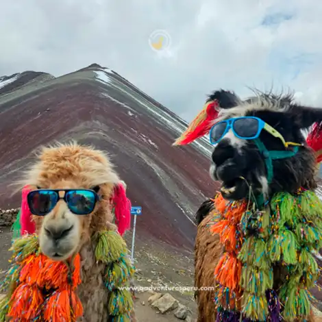 Vinicunca Mountain and Red Valley: The Ultimate Rainbow Adventure in Peru