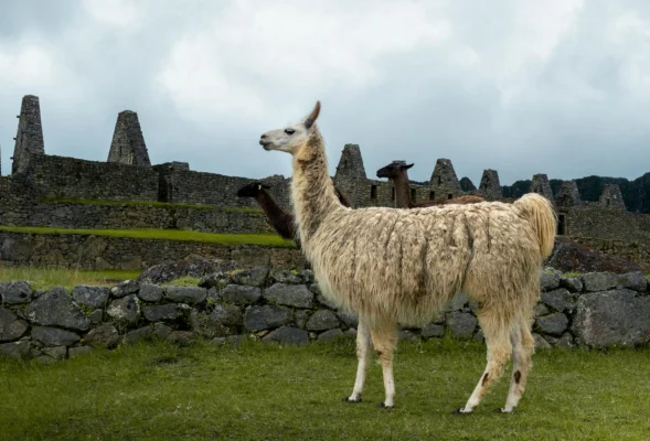 Preguntas frecuentes sobre viajar a Machu Picchu en abril