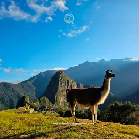 Travel in Cusco: Things to Do in Peru During Your Trip in 2026