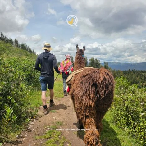 https://www.qadventuresperu.com/