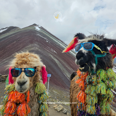 Vinicunca Mountain and Red Valley: The Ultimate Rainbow Adventure in Peru