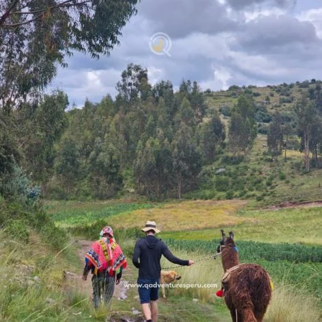 trekking in cusco