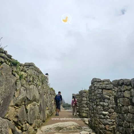 https://www.qadventuresperu.com/