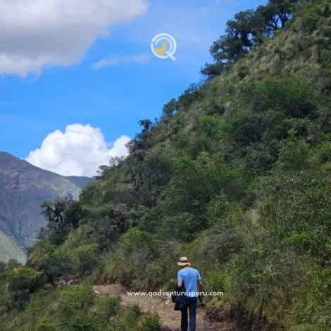 https://www.qadventuresperu.com/
