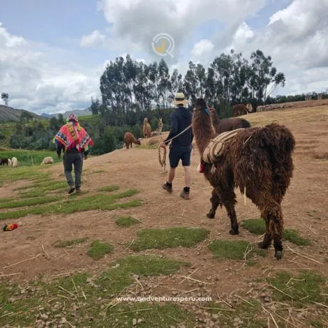 inca trail