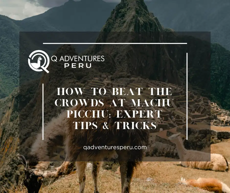 How to Beat the Crowds at Machu Picchu: Expert Tips & Tricks