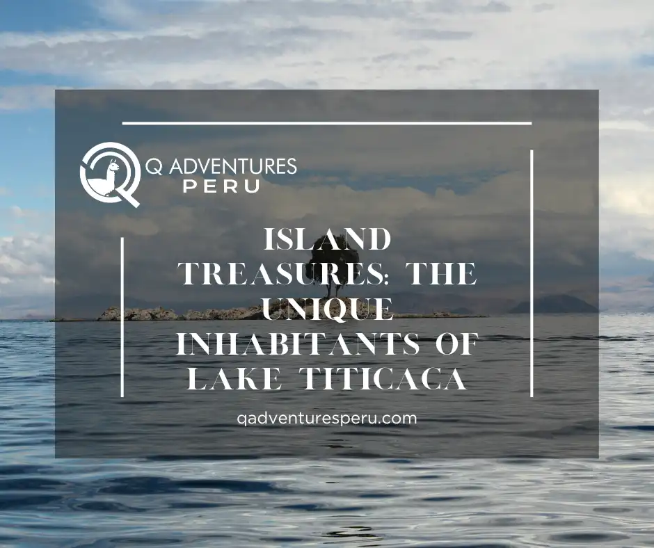 Island Treasures: The Unique Inhabitants of Lake Titicaca