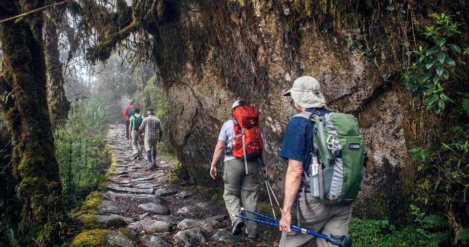 Trekking en Cusco: Una Guía Completa para Exploradores