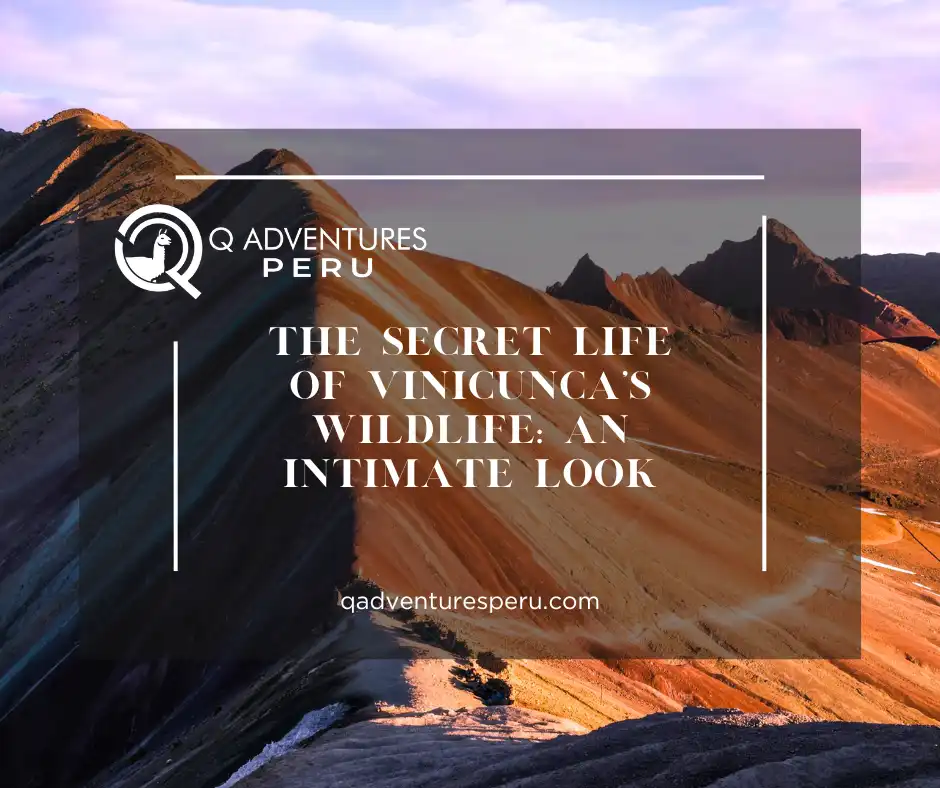 The Secret Life of Vinicunca’s Wildlife: An Intimate Look