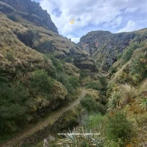 https://www.qadventuresperu.com/