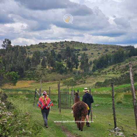 https://www.qadventuresperu.com/