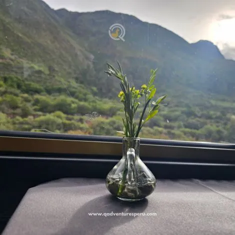 https://www.qadventuresperu.com/