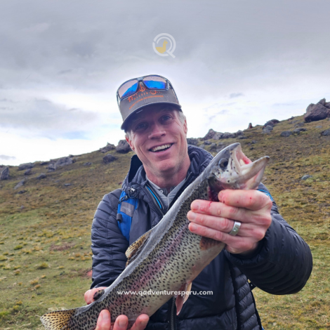 https://www.qadventuresperu.com/