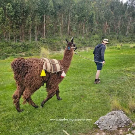 https://www.qadventuresperu.com/