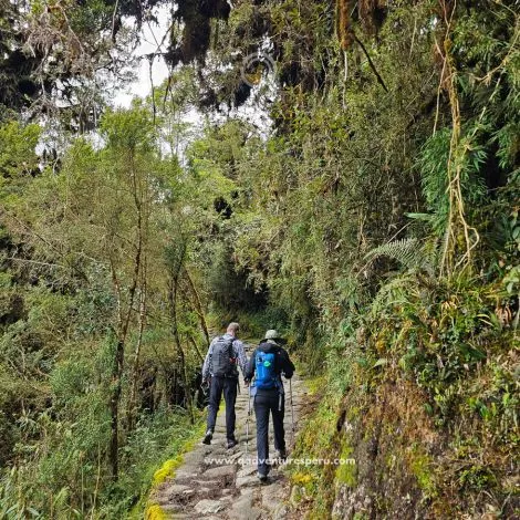 https://www.qadventuresperu.com/