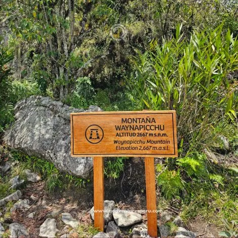 https://www.qadventuresperu.com/