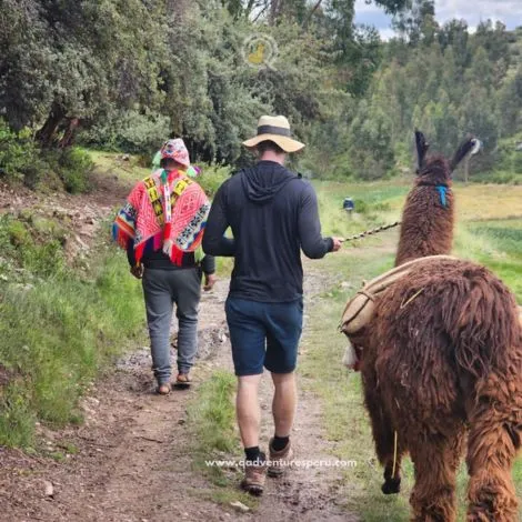 https://www.qadventuresperu.com/