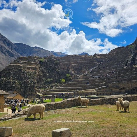 https://www.qadventuresperu.com/