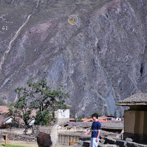 https://www.qadventuresperu.com/