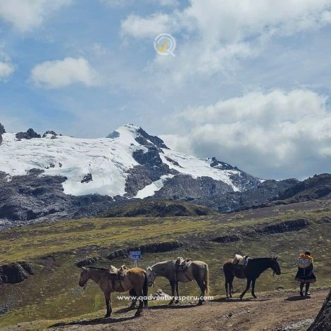 https://www.qadventuresperu.com/