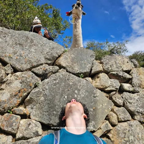 https://www.qadventuresperu.com/
