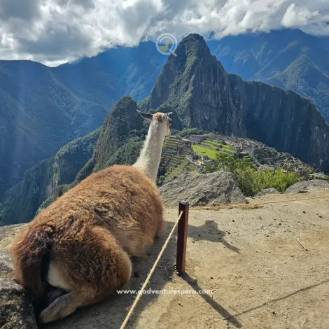 https://www.qadventuresperu.com/
