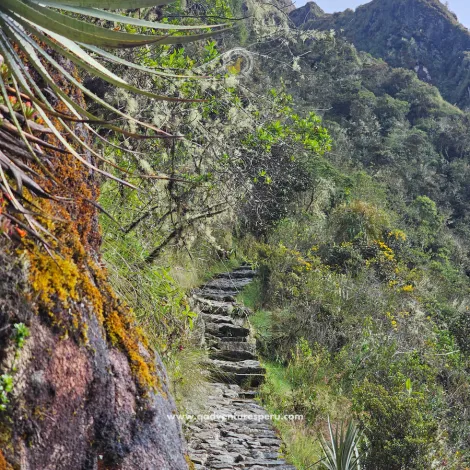 https://www.qadventuresperu.com/