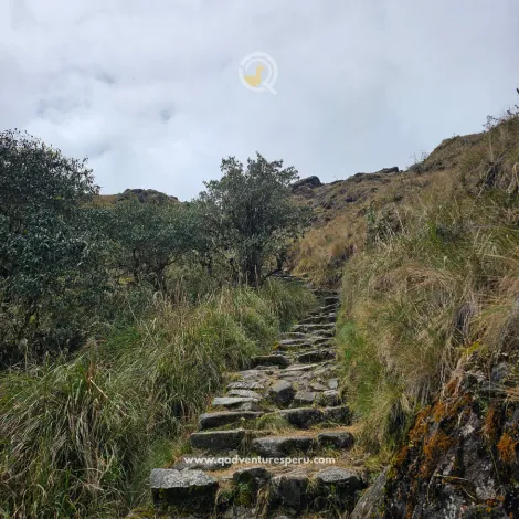 https://www.qadventuresperu.com/