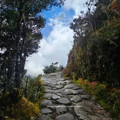 https://www.qadventuresperu.com/
