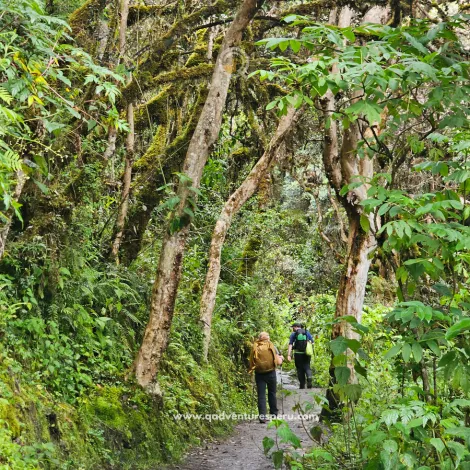 https://www.qadventuresperu.com/