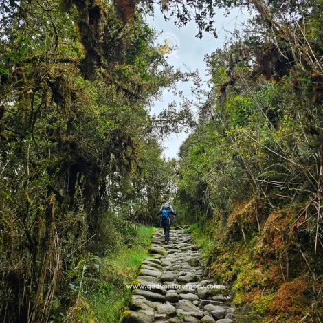 https://www.qadventuresperu.com/