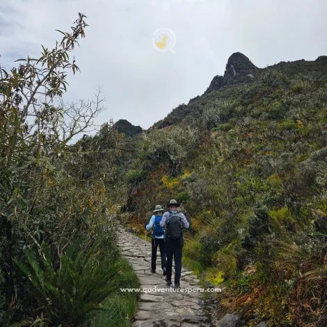 https://www.qadventuresperu.com/