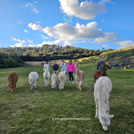 https://www.qadventuresperu.com/