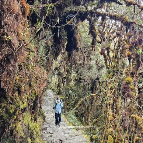 https://www.qadventuresperu.com/