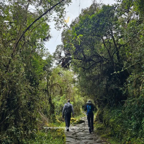 https://www.qadventuresperu.com/
