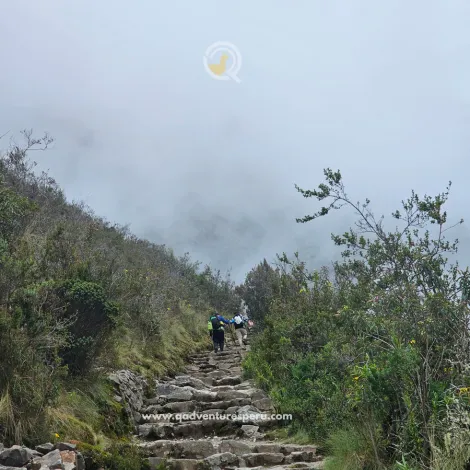 https://www.qadventuresperu.com/