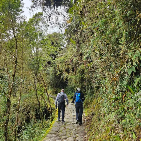 https://www.qadventuresperu.com/