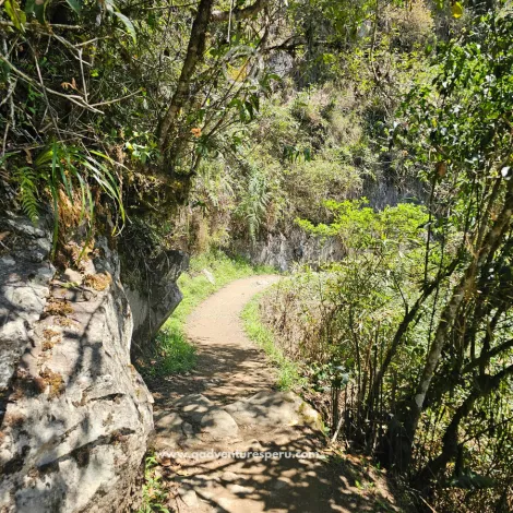 https://www.qadventuresperu.com/