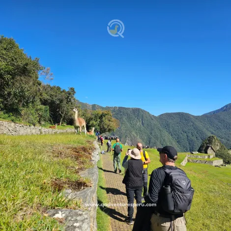 https://www.qadventuresperu.com/